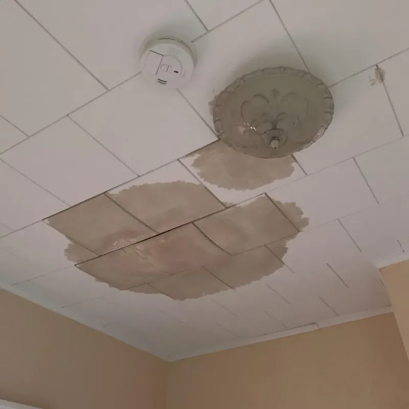 Ceiling Water Damage Repair in Lewiston, NY