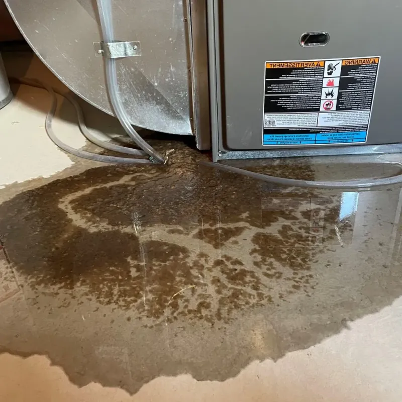 Pipe Burst and Leak Restoration in Lewiston, NY